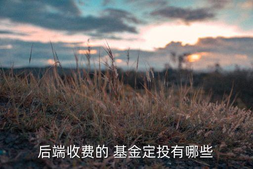 招商成長基金,招商優(yōu)質成長基金凈值查詢