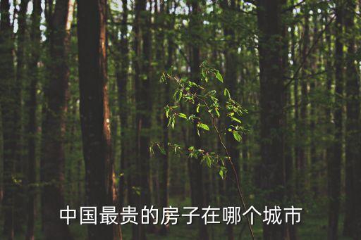 中國最貴的房子在哪個(gè)城市