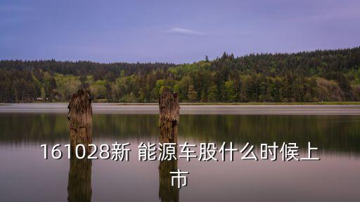 基金富國(guó)中證新能源汽車(chē),富國(guó)新材料新能源基金009092
