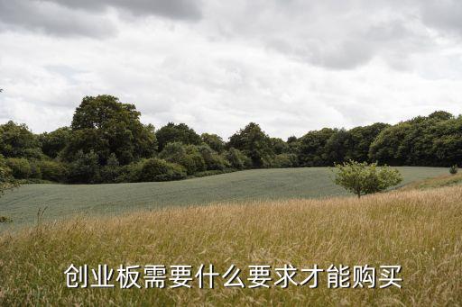  創(chuàng)業(yè)板需要什么要求才能購(gòu)買(mǎi)
