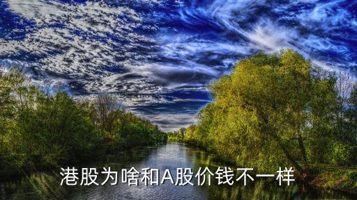 中國神華發(fā)行價