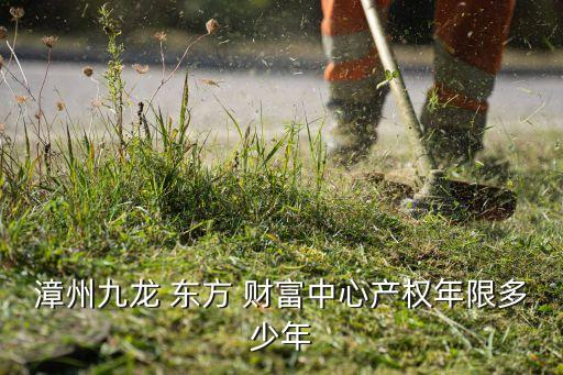 漳州九龍 東方 財富中心產權年限多少年