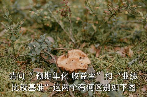 請(qǐng)問“ 預(yù)期年化 收益率”和“業(yè)績比較基準(zhǔn)”這兩個(gè)有何區(qū)別如下圖