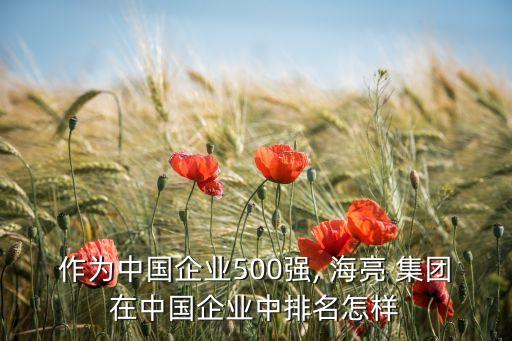 作為中國企業(yè)500強(qiáng), 海亮 集團(tuán)在中國企業(yè)中排名怎樣