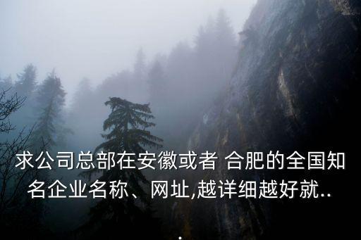 求公司總部在安徽或者 合肥的全國知名企業(yè)名稱、網(wǎng)址,越詳細(xì)越好就...
