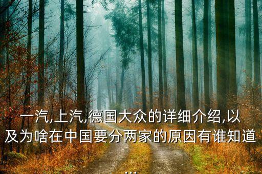 1987年上海大眾生產(chǎn)基地,上海大眾汽車(chē)生產(chǎn)基地在哪