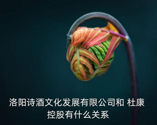 洛陽詩酒文化發(fā)展有限公司和 杜康 控股有什么關系