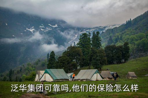  泛華集團(tuán)可靠嗎,他們的保險(xiǎn)怎么樣