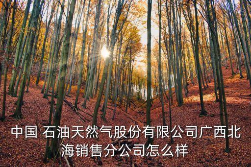 中國(guó) 石油天然氣股份有限公司廣西北海銷(xiāo)售分公司怎么樣