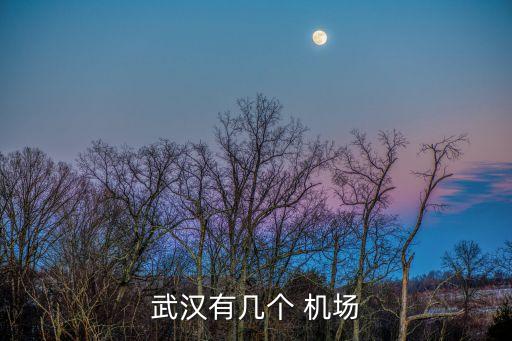 武漢有幾個 機場