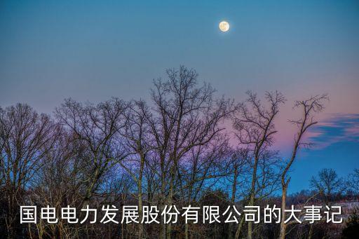 國電集團(tuán)審計,中鋁集團(tuán)審計中心待遇