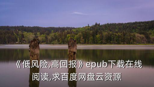 《低風險,高回報》epub下載在線閱讀,求百度網(wǎng)盤云資源