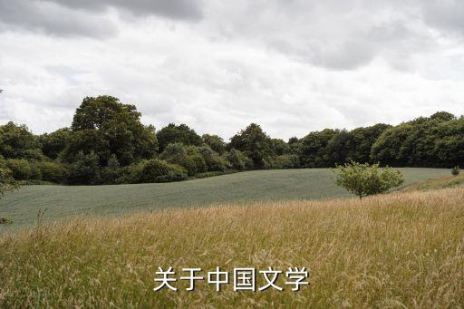 關(guān)于中國(guó)文學(xué)
