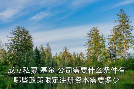 房地產基金公司設立的問題,中國房地產基金公司