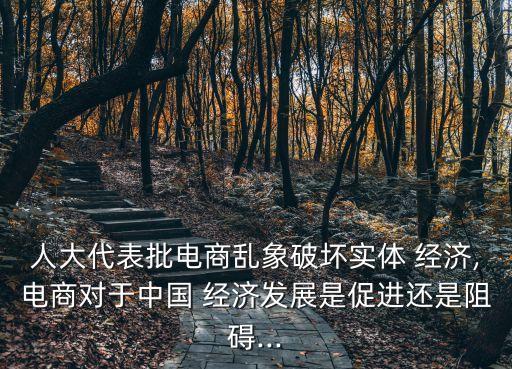 人大代表批電商亂象破壞實體 經濟,電商對于中國 經濟發(fā)展是促進還是阻礙...