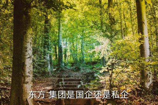 東方 集團是國企還是私企