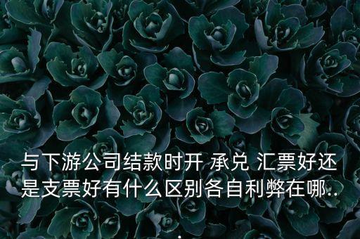 與下游公司結(jié)款時開 承兌 匯票好還是支票好有什么區(qū)別各自利弊在哪...
