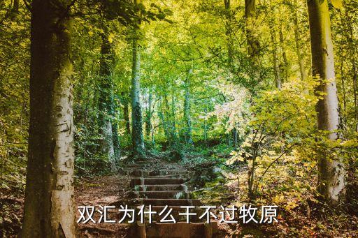 雙匯集團(tuán)股東,雙匯股份最大股東
