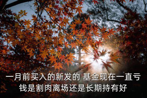 一月前買入的新發(fā)的 基金現(xiàn)在一直虧錢是割肉離場(chǎng)還是長期持有好