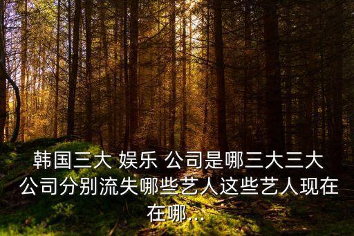  韓國(guó)三大 娛樂(lè) 公司是哪三大三大 公司分別流失哪些藝人這些藝人現(xiàn)在在哪...