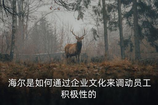 海爾公司領(lǐng)導