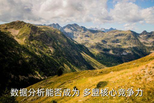 數(shù)據(jù)分析能否成為 多盟核心競爭力