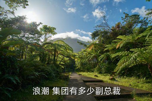  浪潮 集團(tuán)有多少副總裁
