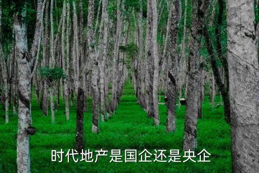  時(shí)代地產(chǎn)是國(guó)企還是央企