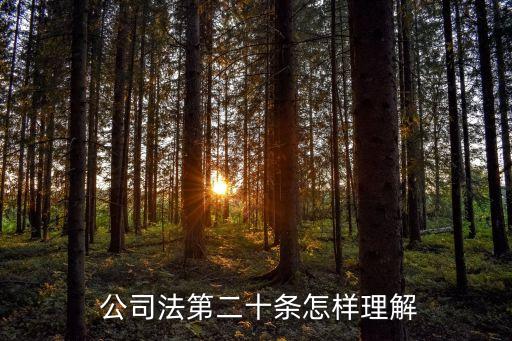 公司法語境下的重大資產出售定位