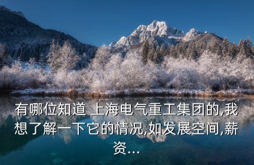 有哪位知道 上海電氣重工集團的,我想了解一下它的情況,如發(fā)展空間,薪資...