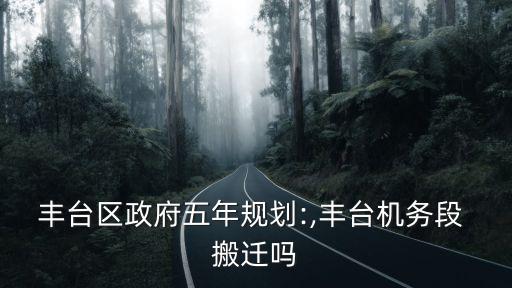豐臺(tái)區(qū)政府五年規(guī)劃:,豐臺(tái)機(jī)務(wù)段 搬遷嗎
