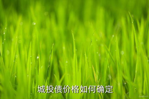  城投債價格如何確定