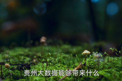 貴州朗瑪信息技術(shù)有限公司,貴州云圖時(shí)代信息技術(shù)有限公司