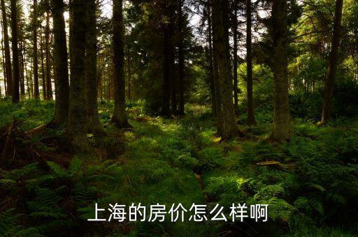 上海的房價怎么樣啊