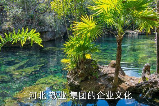 民生河北敬業(yè)集團(tuán),河北敬業(yè)集團(tuán)兒媳婦兒是誰(shuí)