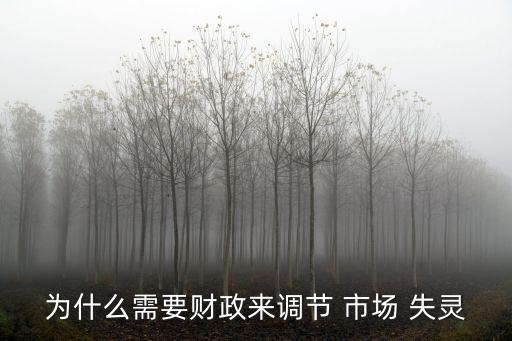 中國的市場(chǎng)失靈,市場(chǎng)失靈名詞解釋