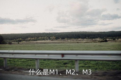 什么是M1、M2、M3