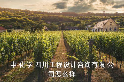 四川晟達化學新材料公司,四川能投化學新材料招聘待遇