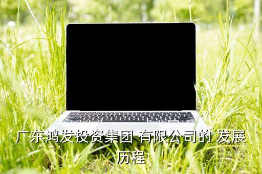 廣東鴻發(fā)投資集團(tuán) 有限公司的 發(fā)展歷程