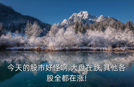 今天的股市好怪啊,大盤(pán)在跌,其他各股全都在漲!