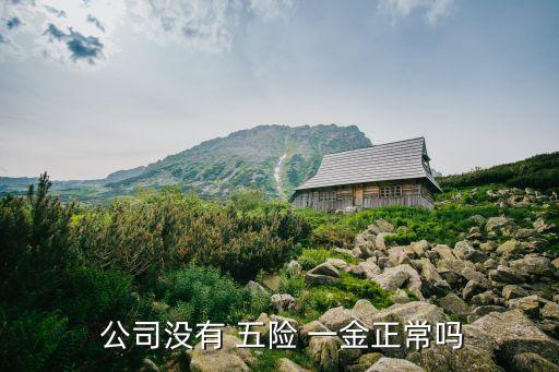  公司沒有 五險 一金正常嗎