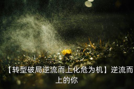 【轉(zhuǎn)型破局逆流而上化危為機】逆流而上的你