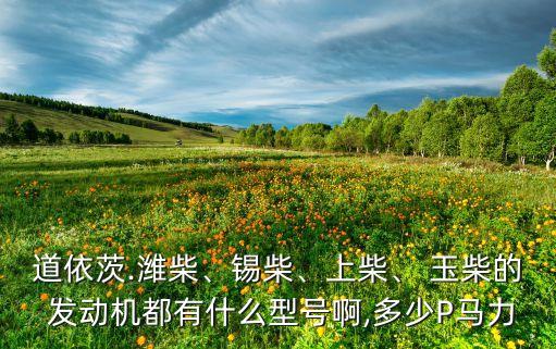 道依茨.濰柴、錫柴、上柴、 玉柴的 發(fā)動機都有什么型號啊,多少P馬力