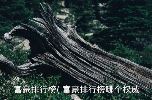  富豪排行榜( 富豪排行榜哪個權威