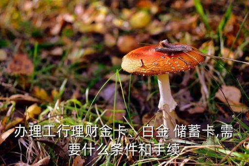辦理工行理財(cái)金卡、白金 儲(chǔ)蓄卡,需要什么條件和手續(xù)