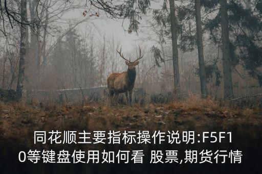  同花順主要指標(biāo)操作說明:F5F10等鍵盤使用如何看 股票,期貨行情