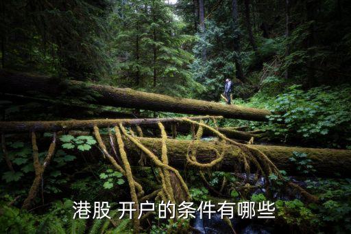 港股 開(kāi)戶(hù)的條件有哪些