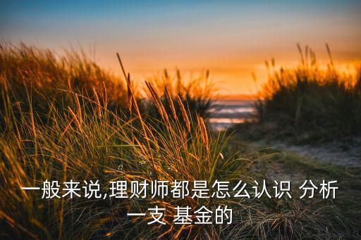 一般來說,理財(cái)師都是怎么認(rèn)識(shí) 分析一支 基金的