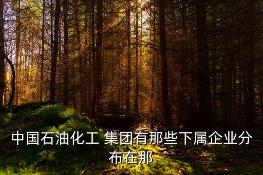 中國(guó)石油化工 集團(tuán)有那些下屬企業(yè)分布在那