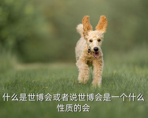 什么是世博會(huì)或者說(shuō)世博會(huì)是一個(gè)什么性質(zhì)的會(huì)